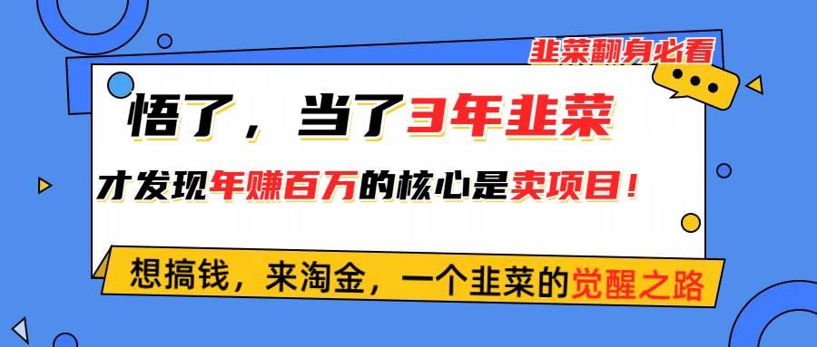 悟了，当了3年韭菜，才发现网赚圈年赚100万的核心是卖项目，含泪分享！|明哥资源