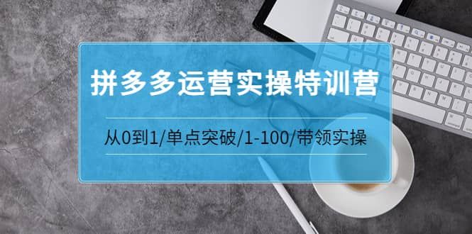 拼多多运营实操特训营：从0到1/单点突破/1-100/带领实操 价值2980元|明哥资源