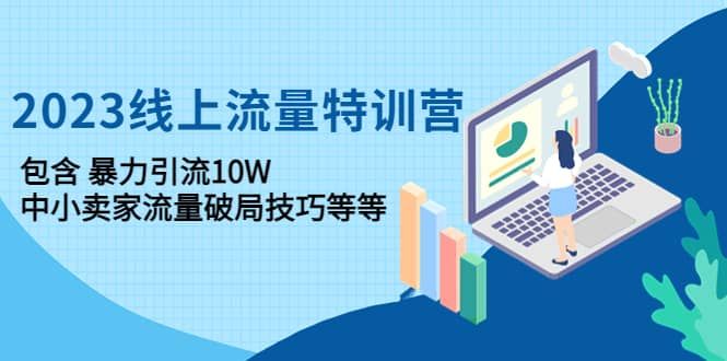 2023线上流量特训营：中小卖家流量破局技巧等等|明哥资源