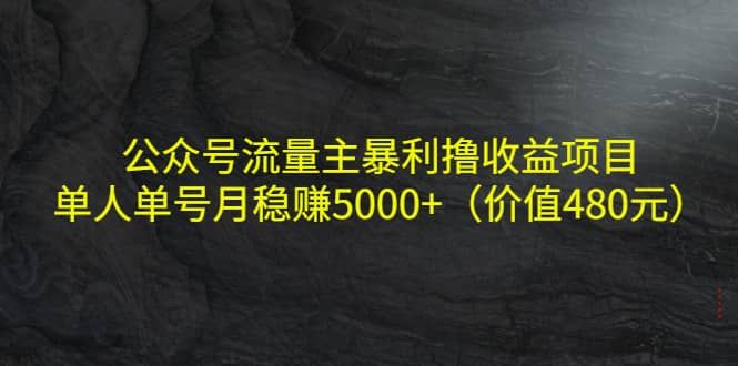 公众号流量主暴利撸收益项目，单人单号月稳赚5000+（价值480元）|明哥资源