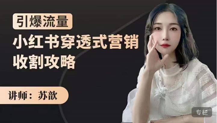 小红书穿透式营销收割攻略,引爆流量,助你玩转小红书|明哥资源