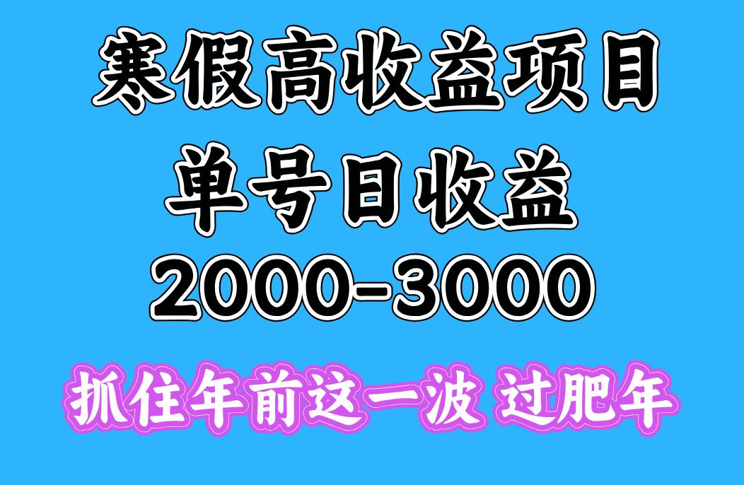 寒假期间一天收益2000-3000+,抓住年前这一波|明哥资源
