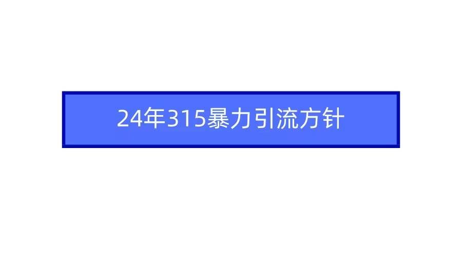 2024年315暴力引流方针|明哥资源
