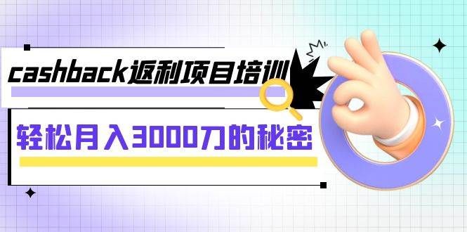 cashback返利项目培训：轻松月入3000刀的秘密（8节课）|明哥资源