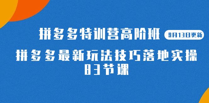 2023拼多多·特训营高阶班【9月13日更新】拼多多最新玩法技巧落地实操-83节|明哥资源