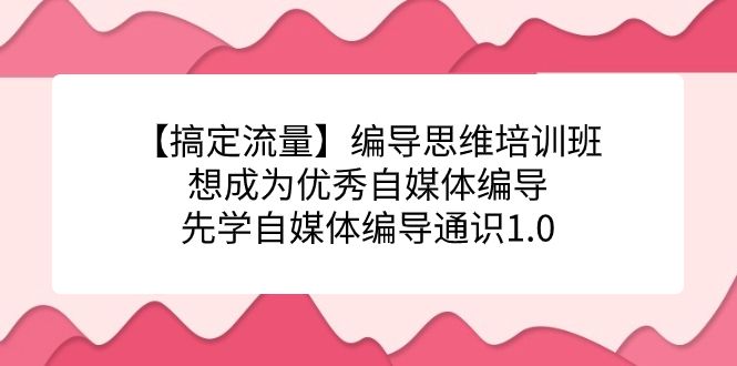 【搞定流量】编导思维培训班，想成为优秀自媒体编导先学自媒体编导通识1.0|明哥资源