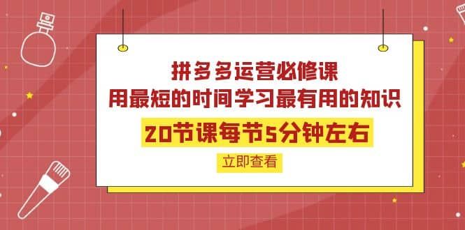 拼多多运营必修课:20节课每节5分钟左右,用最短的时间学习最有用的知识|明哥资源