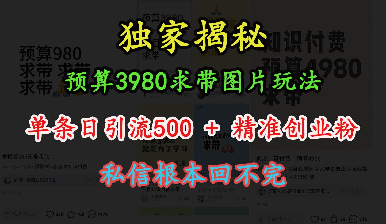 “小红书”预算3980求带 图片玩法，单条日引流500+精准创业粉，私信根本回不完|明哥资源