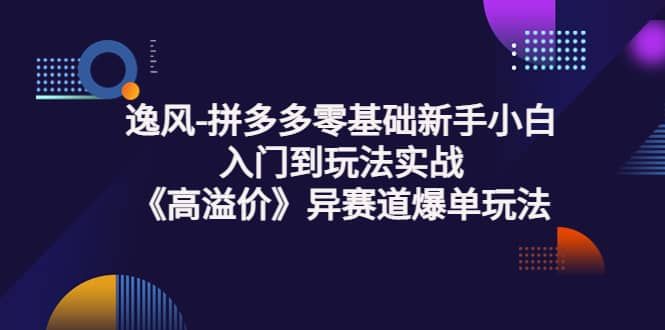 拼多多零基础新手小白入门到玩法实战《高溢价》异赛道爆单玩法实操课|明哥资源