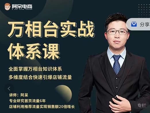 阿呆-万相台实战体系课,帮您全面掌握万相台知识体系|明哥资源