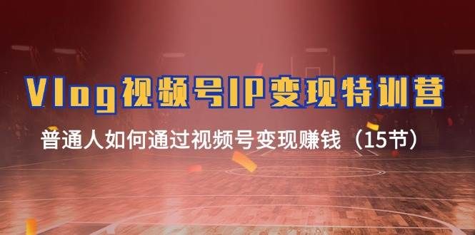 Vlog 视频号IP变现特训营，普通人如何通过视频号变现赚钱（15节）|明哥资源