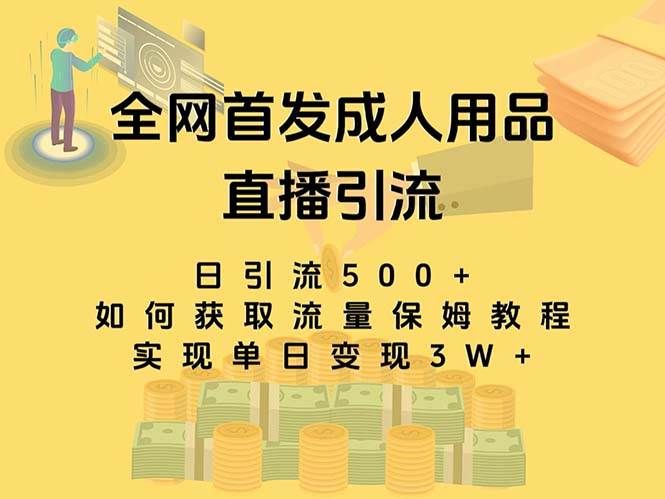 最新全网独创首发,成人用品直播引流获客暴力玩法,单日变现3w保姆级教程|明哥资源