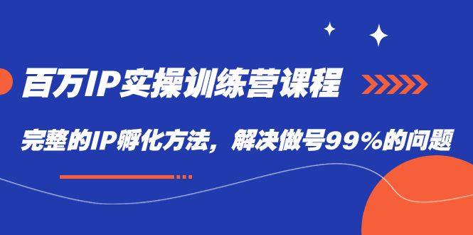 百万IP实战训练营课程，完整的IP孵化方法，解决做号99%的问题|明哥资源