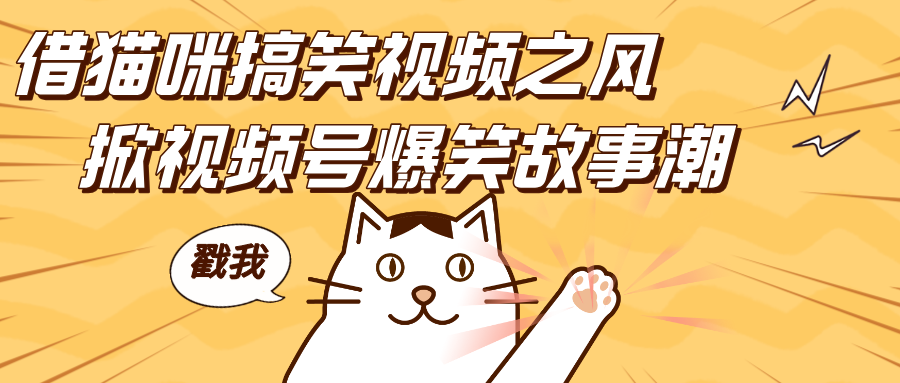借猫咪搞笑视频之风,掀视频号爆笑故事潮,轻松日赚四位数,开启无门槛赚钱新体验!|明哥资源