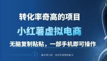 一单49.9，转化率奇高的项目，冷门暴利的小红书虚拟电商|明哥资源