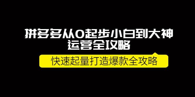 拼多多从0起步小白到大神运营全攻略|明哥资源