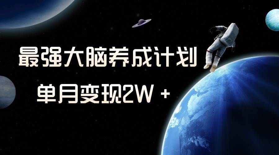 冷门虚拟项目，最强大脑养成计划，一个月变现2W＋|明哥资源