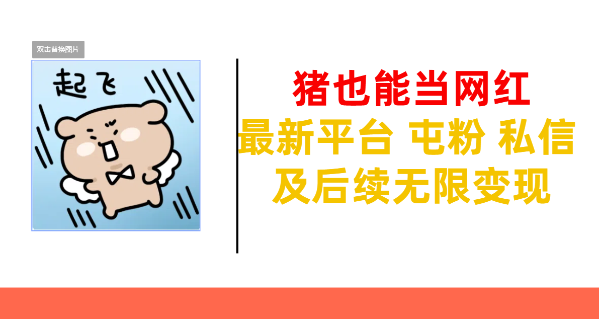 猪也能当网红-最新平台 屯粉 交流 私信 及后续无限变现|明哥资源