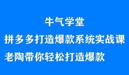 牛气学堂拼多多打造爆款系统实战课，老陶带你轻松打造爆款|明哥资源