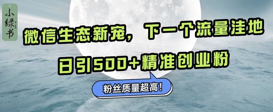 微信生态新宠小绿书：下一个流量洼地，粉丝质量超高，日引500+精准创业粉，|明哥资源