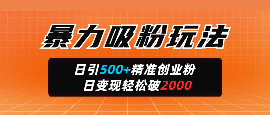暴力吸粉玩法,日引500+精准创业粉,日变现轻松破2000|明哥资源