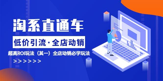 淘系直通车《低价·引流 全店·动销》超高ROI玩法（其一）全店动销必学玩法|明哥资源