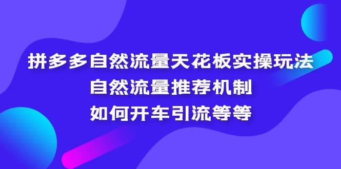 拼多多自然流量天花板实操玩法：自然流量推荐机制，如何开车引流等等|明哥资源
