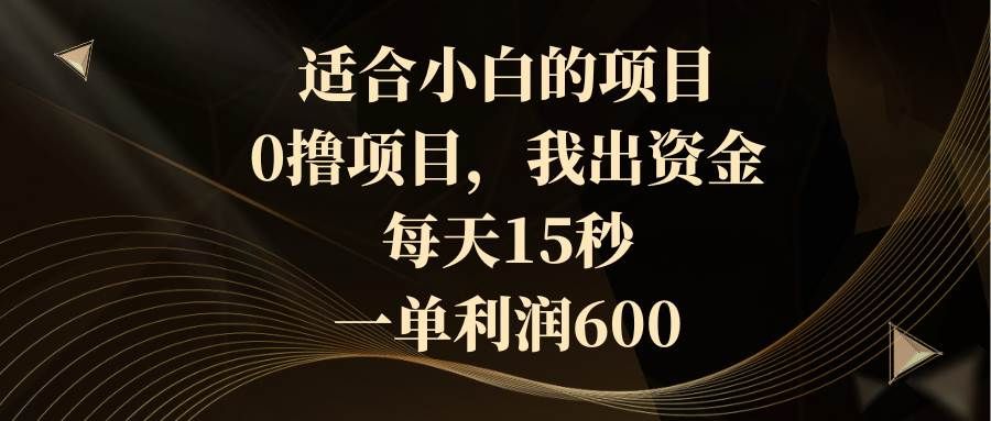 适合小白的项目，0撸项目，我出资金，每天15秒，一单利润600|明哥资源
