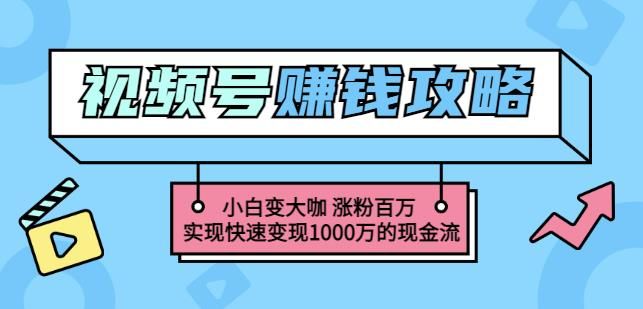 玩转微信视频号赚钱：小白变大咖涨粉百万实现快速变现1000万的现金流|明哥资源