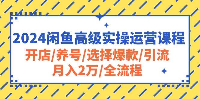 2024闲鱼高级实操运营课程:开店/养号/选择爆款/引流/月入2万/全流程|明哥资源