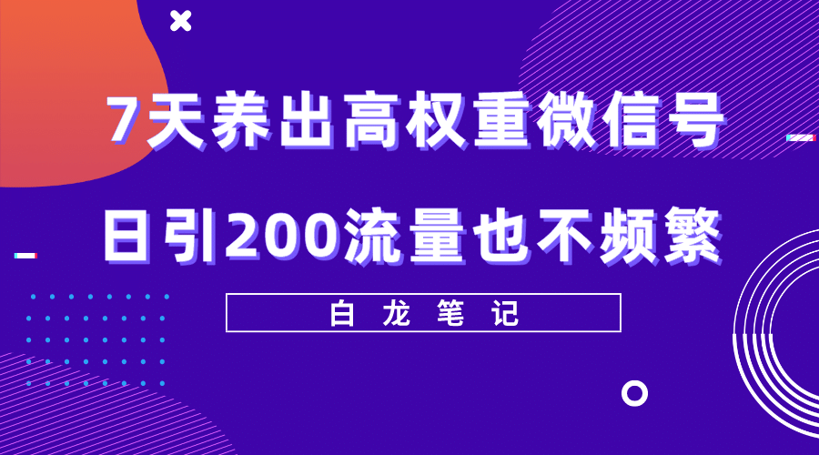 7天养出高权重微信号，日引200流量也不频繁，方法价值3680元|明哥资源