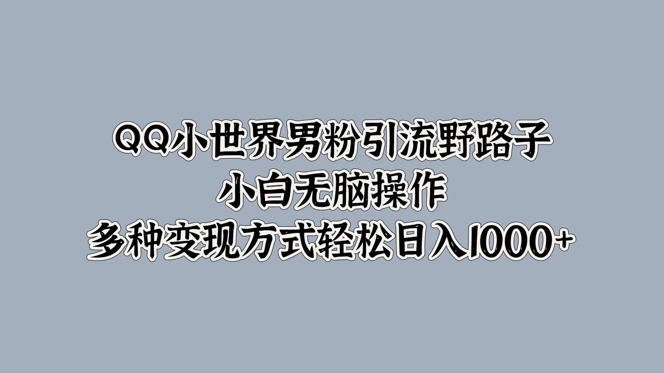 QQ小世界男粉引流野路子，小白无脑操作，多种变现方式轻松日入1000+|明哥资源