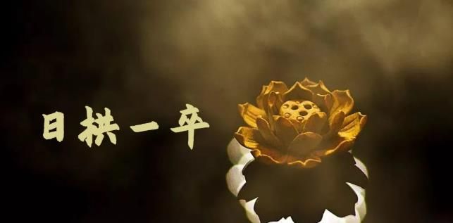 无脑搬砖，普通人可以复制的副业赚钱项目(附软件)|明哥资源