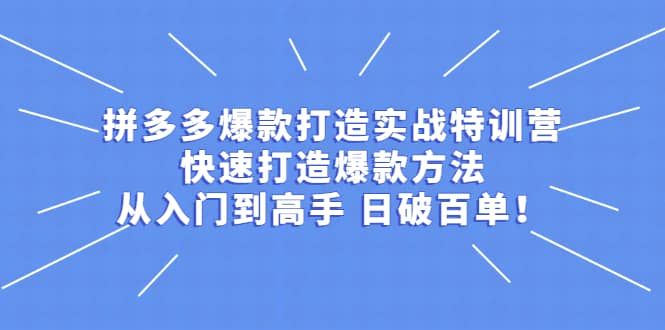 拼多多爆款打造实战特训营：快速打造爆款方法，从入门到高手 日破百单|明哥资源