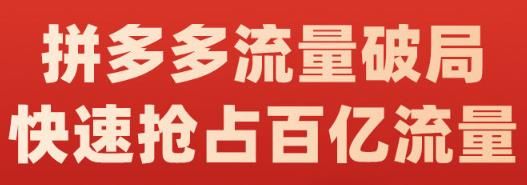 阿杰·拼多多流量破局:如何打黑标，爆款的思路，拼多多流量框架，快速抢占百亿流量|明哥资源