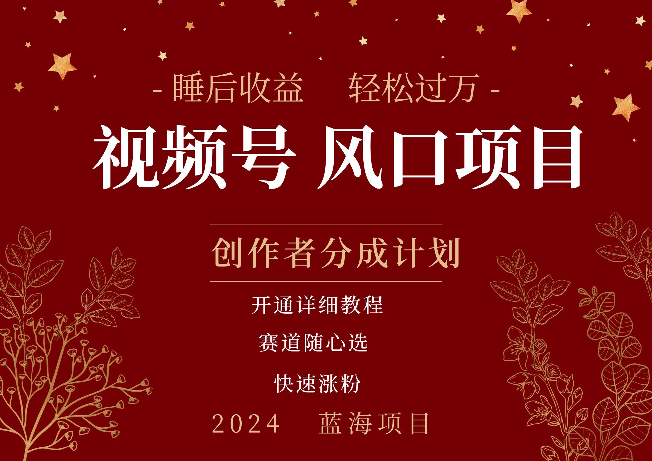 拥有睡眠收益的微信视频号大风口项目，轻松月入过万+，多赛道选择，可矩阵，玩法简单轻松上手|明哥资源