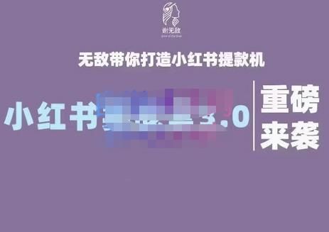 谢无敌·小红书实战营3.0,无敌带你打造小红书提款机 价值7999元|明哥资源