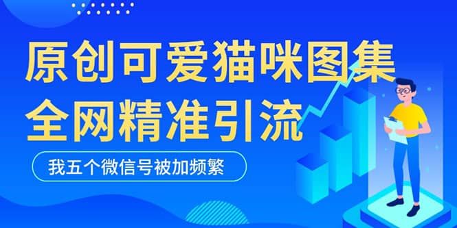 黑科技纯原创可爱猫咪图片，全网精准引流，实操5个VX号被加频繁|明哥资源