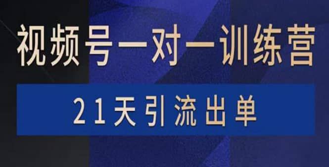 视频号训练营：带货，涨粉，直播，游戏，四大变现新方向，21天引流出单|明哥资源