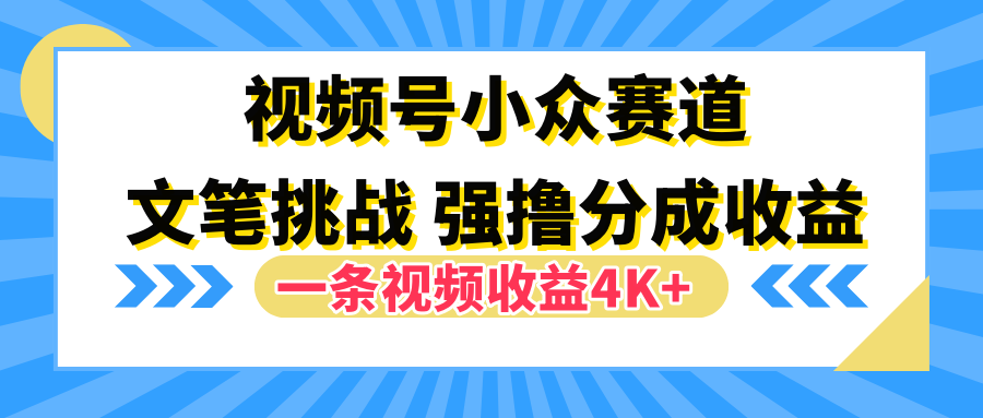 视频号小众赛道，文笔挑战，一条视频收益4K+|明哥资源