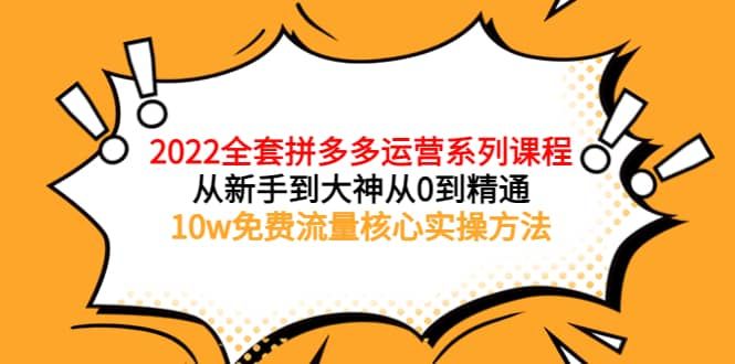 2022全套拼多多运营课程，从新手到大神从0到精通，10w免费流量核心实操方法|明哥资源