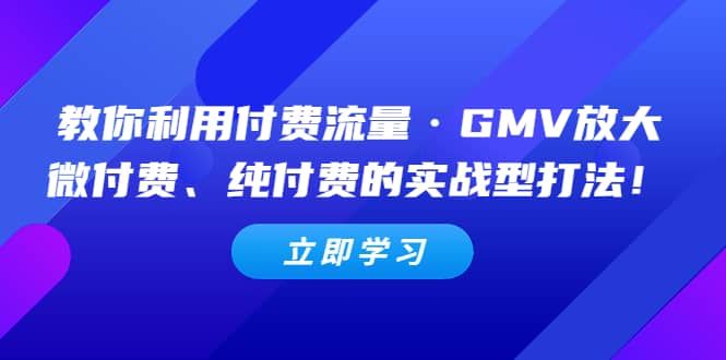 教你利用付费流量·GMV放大,微付费、纯付费的实战型打法|明哥资源