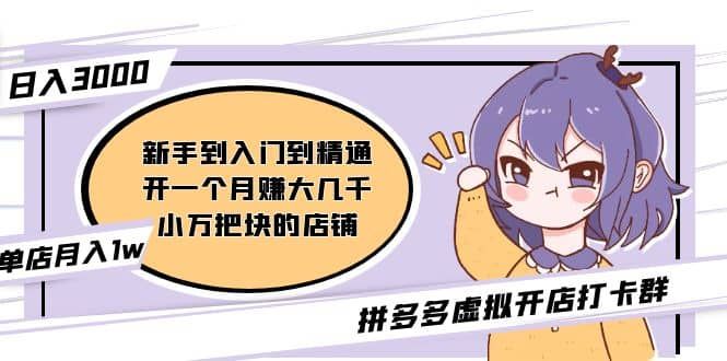 拼多多虚拟开店打卡群：入门到精通（昨日群里有小伙伴3000+）2月26更新|明哥资源