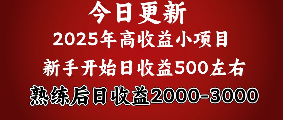 2025开年好项目，新手日收益500+ 熟练掌握后，日收益平均2000多|明哥资源