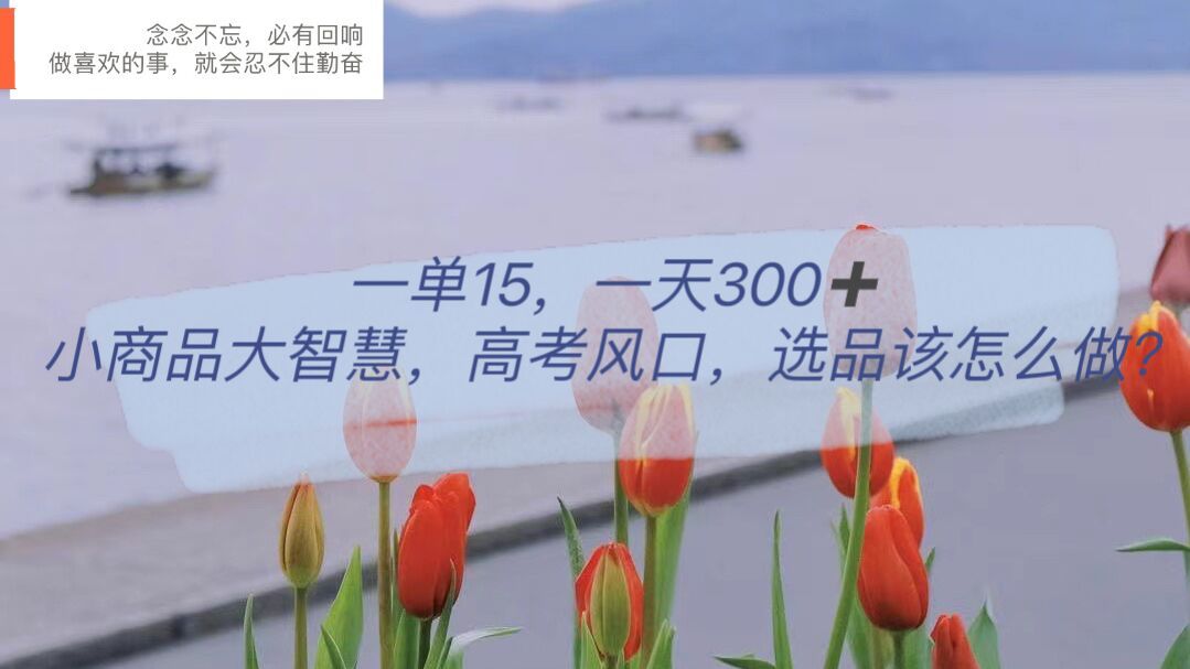 一单15，一天300+，小商品大智慧，高考风口，选品该怎么布局|明哥资源