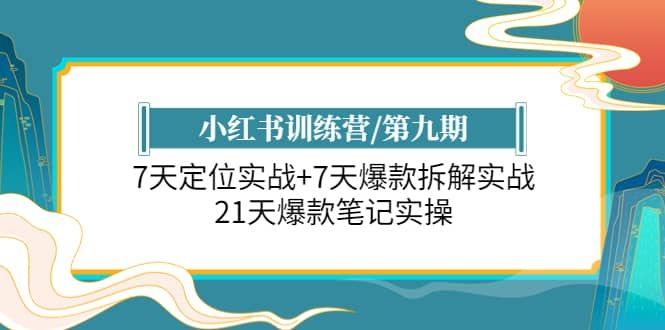 小红书训练营/第九期：7天定位实战+7天爆款拆解实战，21天爆款笔记实操|明哥资源