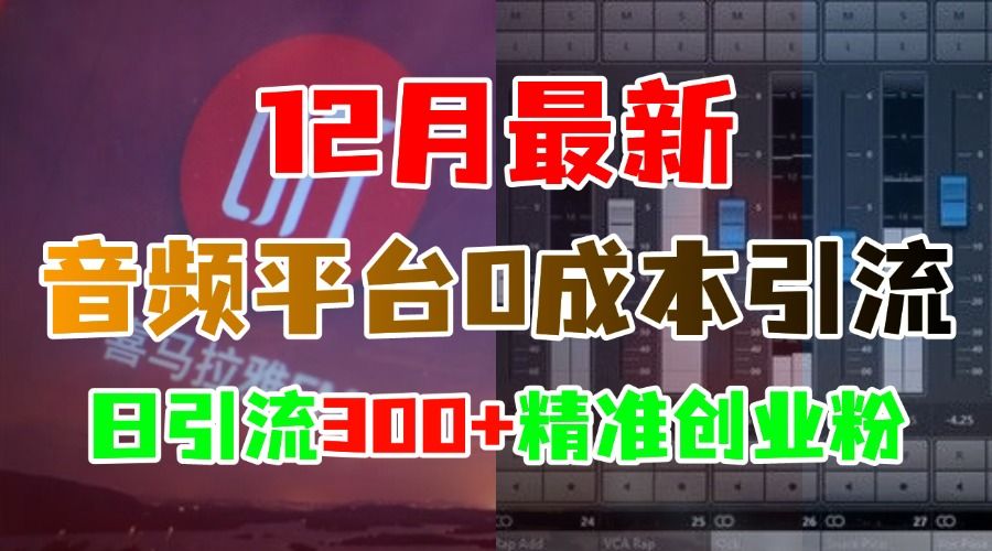 12月最新:音频平台0成本引流,日引300+精准创业粉|明哥资源