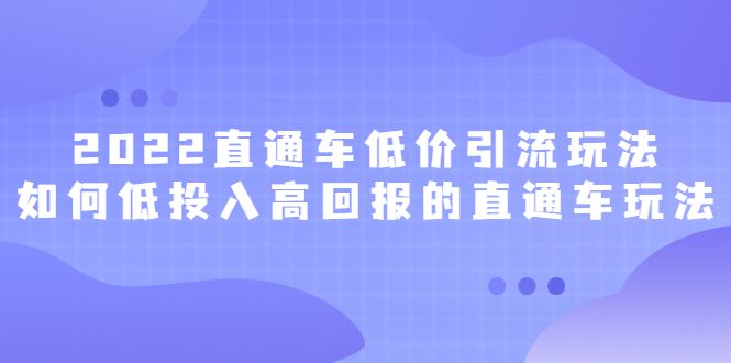 2022直通车低价引流玩法，教大家如何低投入高回报的直通车玩法|明哥资源
