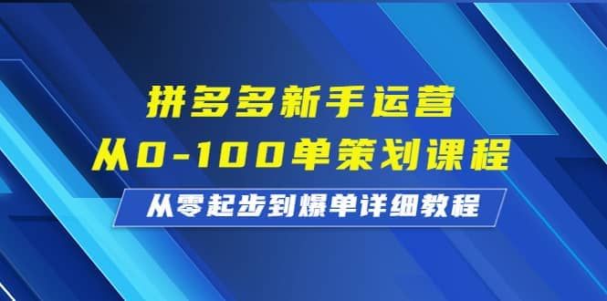 拼多多新手运营从0-100单策划课程，从零起步到爆单详细教程|明哥资源