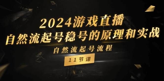 2024游戏直播-自然流起号稳号的原理和实战，自然流起号流程（11节）|明哥资源
